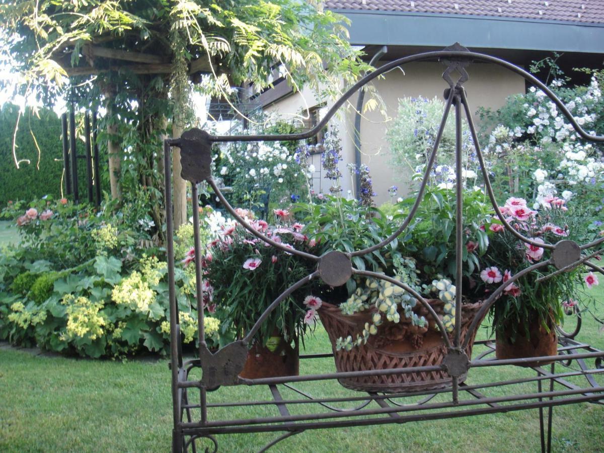 Charming And Cosy Apartment Near Lucerne Romerswil Екстериор снимка
