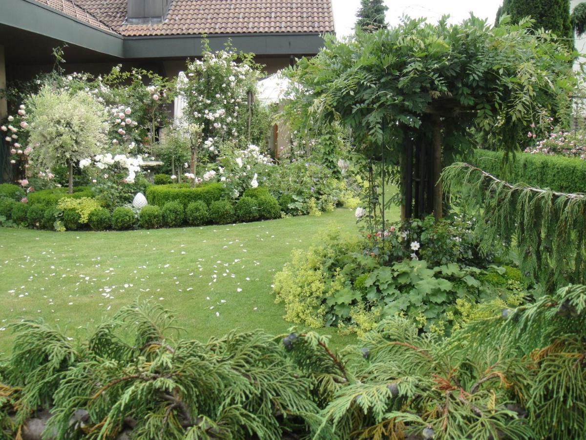 Charming And Cosy Apartment Near Lucerne Romerswil Екстериор снимка